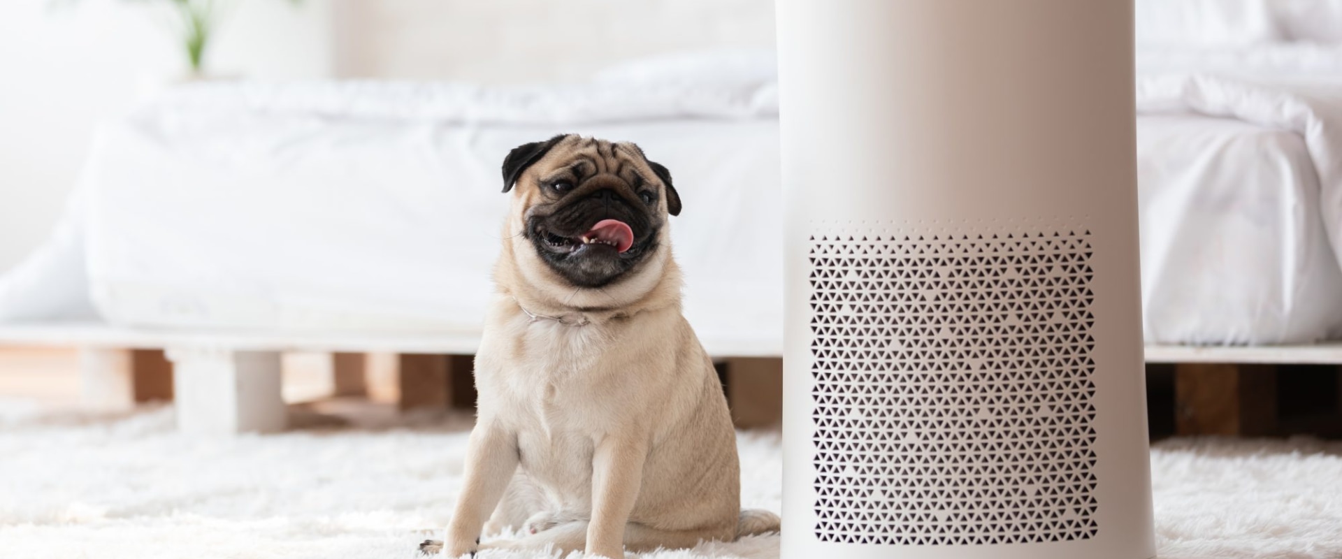 Can You Vacuum Home Air Filters? A Comprehensive Guide